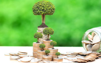 Public Sector Decarbonisation Scheme Releases New Funding
