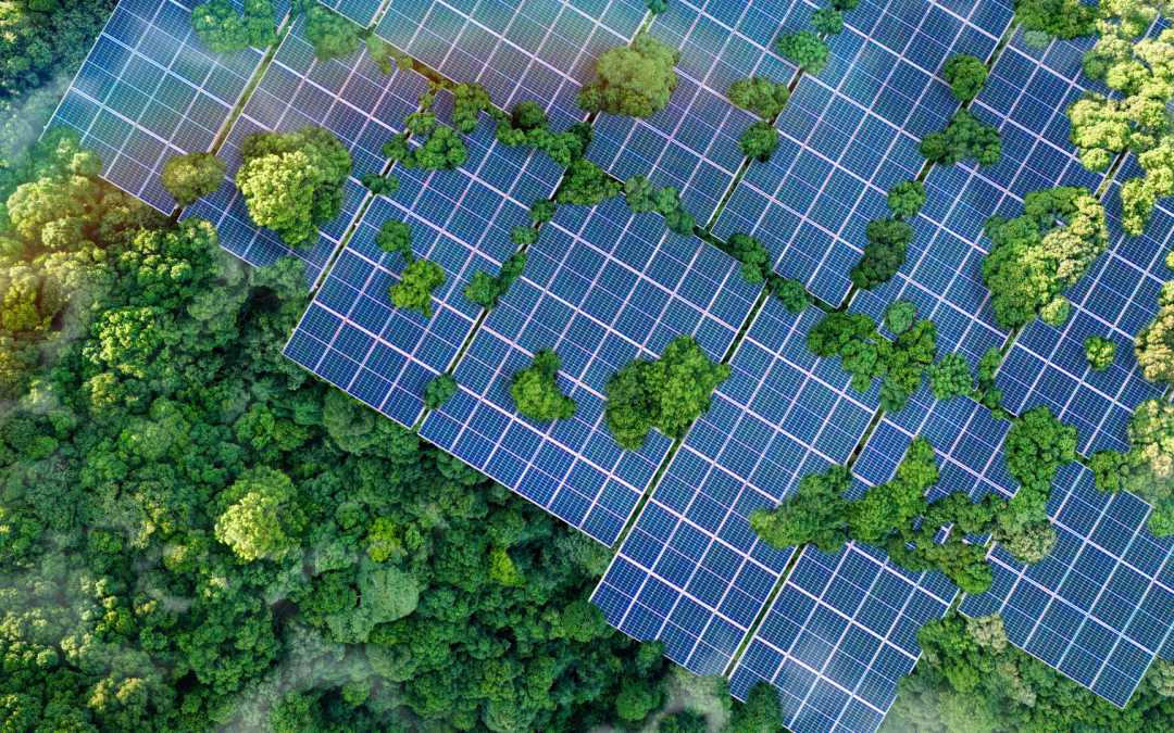 The Future of Solar Energy: Innovations and Trends to Watch