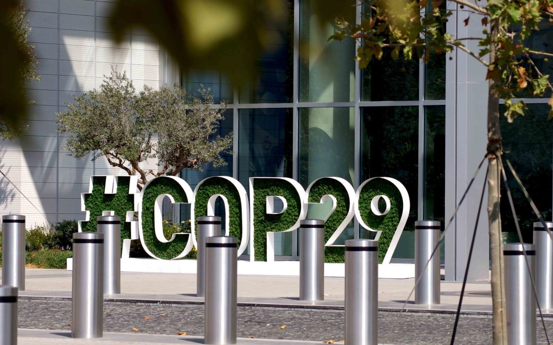 COP29: Key Developments and the UK’s Net Zero Commitments